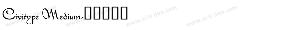 Civitype Medium字体转换